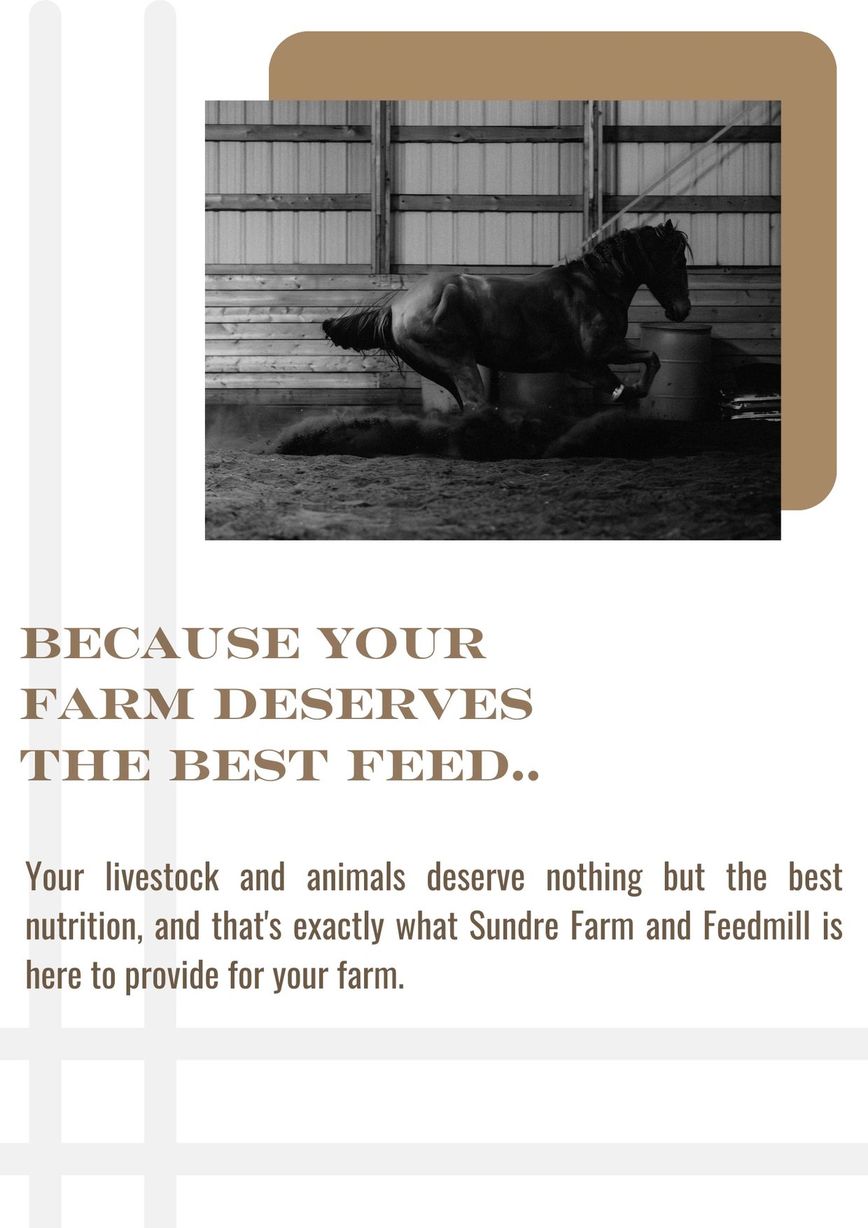 High Quality Animal Feed Sundre Farm and Feed Mill